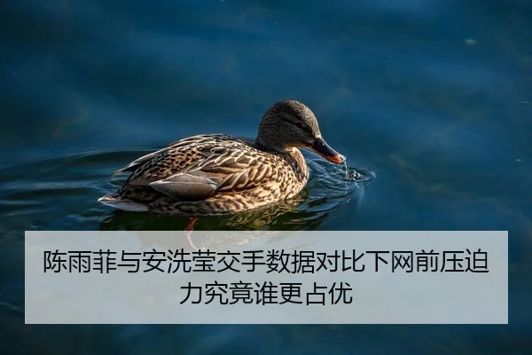 陈雨菲与安洗莹交手数据对比下网前压迫力究竟谁更占优